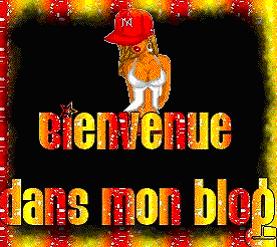 blog